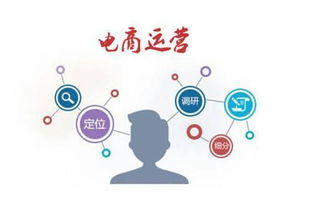 月薪过万电商运营必备 技术推广的核心专业技能